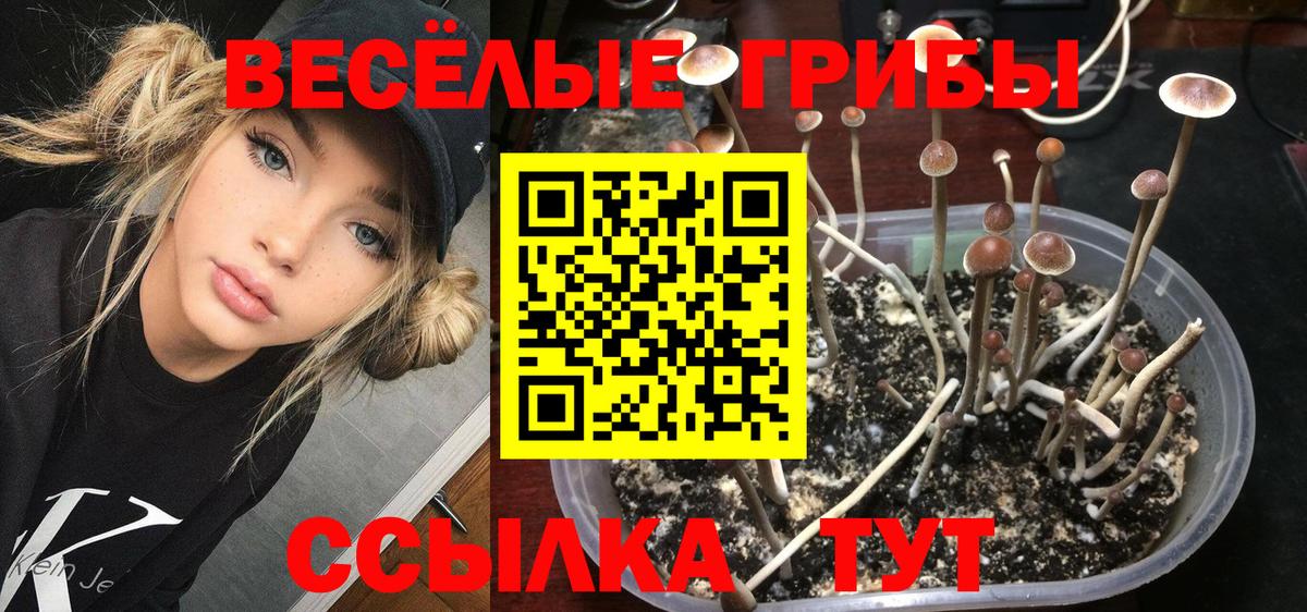 Галлюциногенные грибы ЛСД  Вход с VPN  Кызыл 