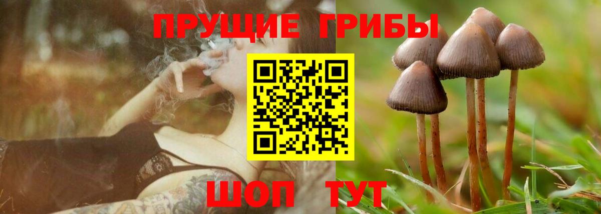 Псилоцибиновые грибы MAGIC MUSHROOMS Кызыл
